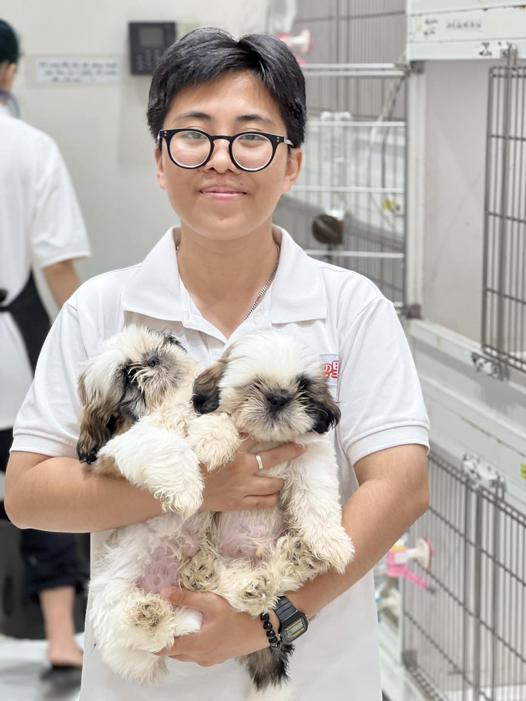 Nên mua chó con có giấy tờ đầy đủ