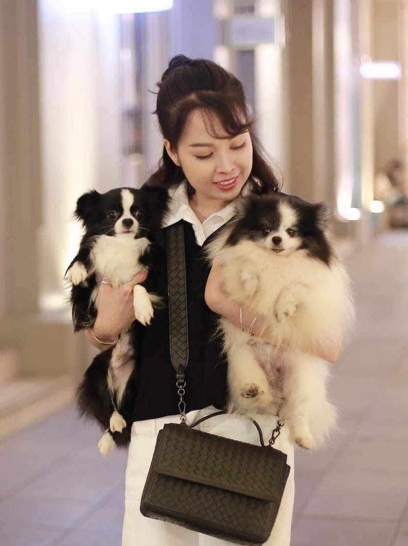 Lanlanpet - Nguồn mua chó cảnh uy tín